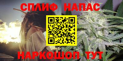 стаф Кулебаки